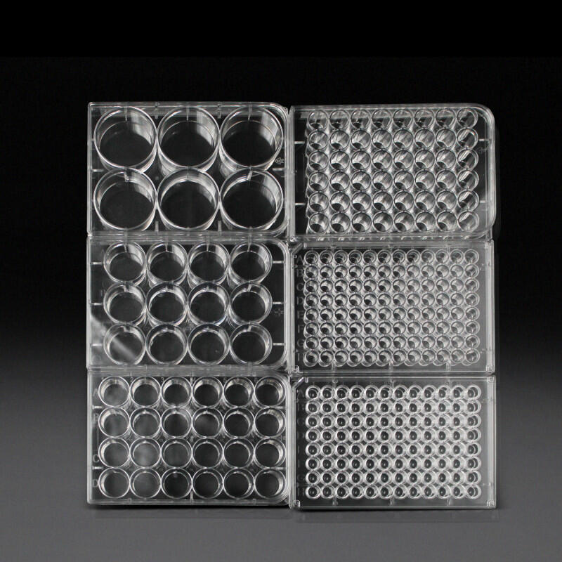 Multi-Well Plates